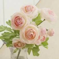 本指名M様ご予約ありがとうございました♡