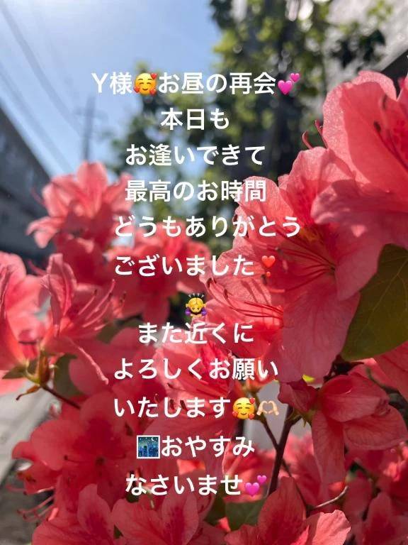 Y様💕本日のお昼🕛☺️