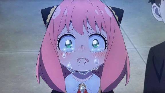 😭ご協力、お願いします😭