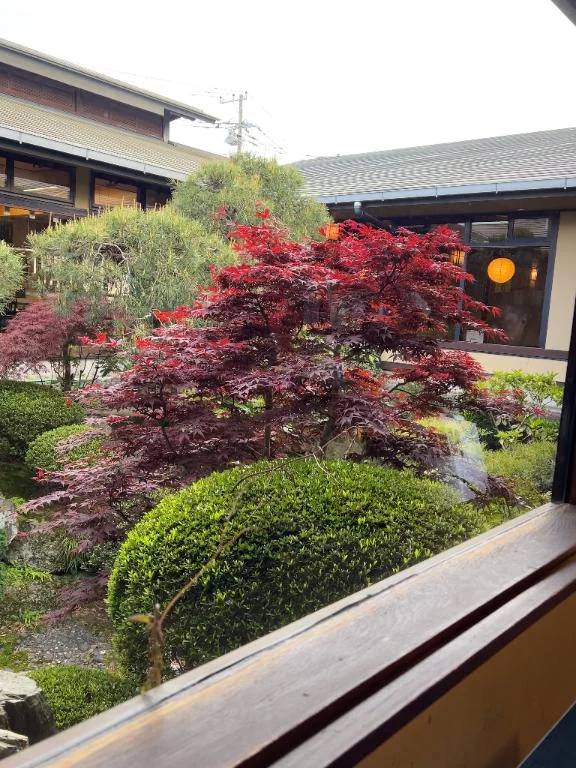 本指名様 向かいます