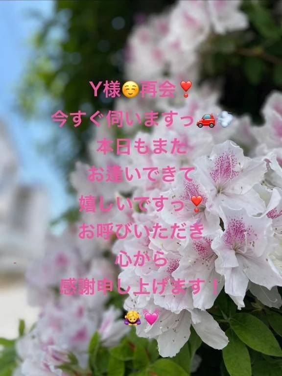 Y様🚗12:00〜伺います！☺️