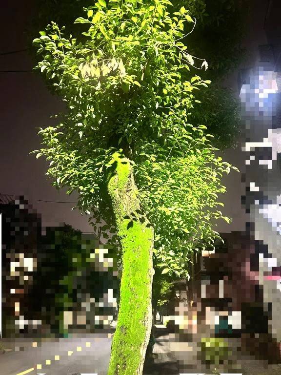 ●●のことか❤︎