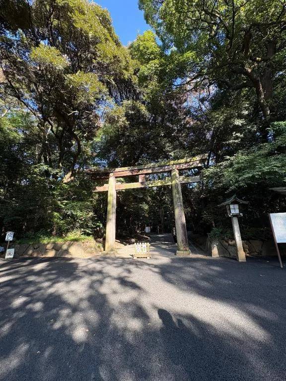 本日から出勤です🤍