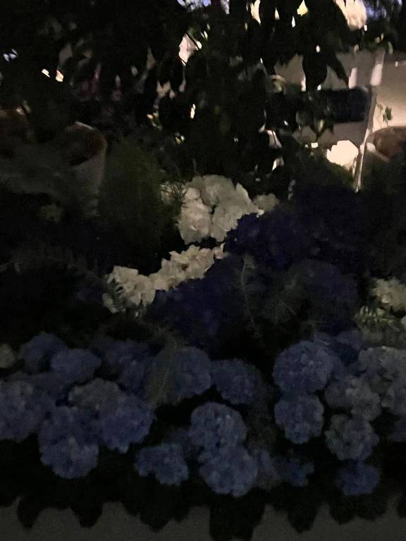 本指名様これより向かいます🌌