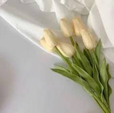本日も…♡
