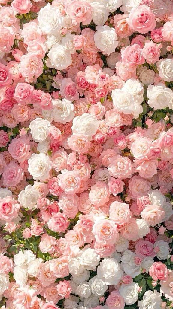 💐お礼T様💐