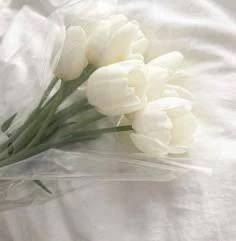 本指名T様ご予約ありがとうございました♡