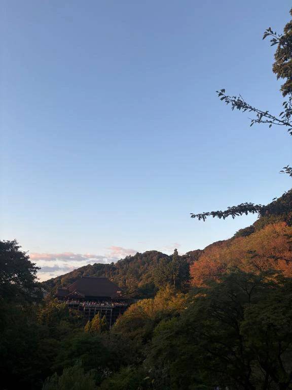 🍃