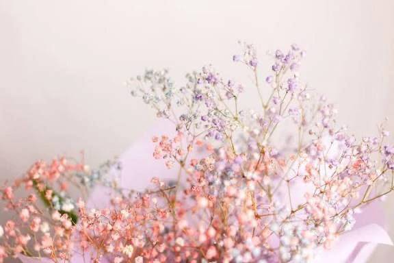 本指名T様ご予約ありがとうございました♡