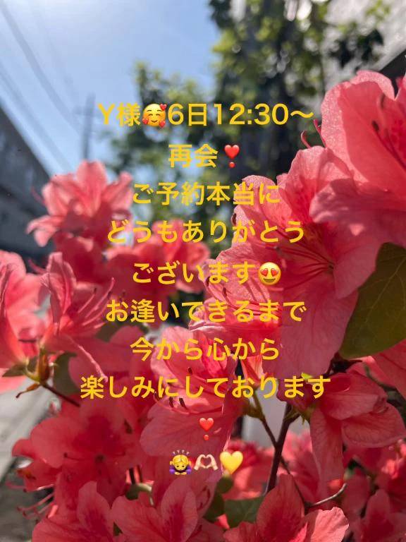 Y様❤️再会嬉しいっ！！☺️