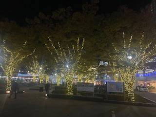 お久しぶりーーの、、、、