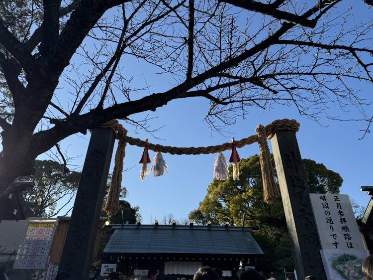 久しぶりに出勤します?