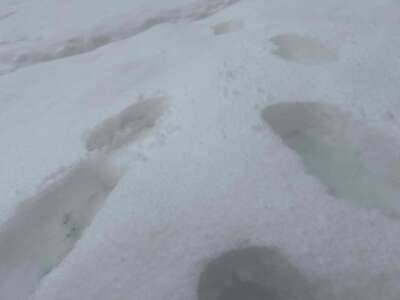 ゆずみ（新橋フェアリーズ）