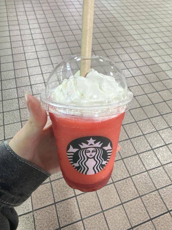 来たよー