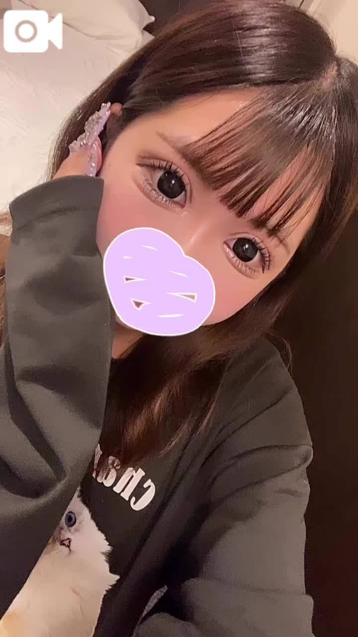 本日‼️