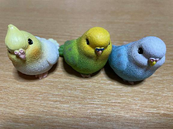 ごめんね( ；꒳； )