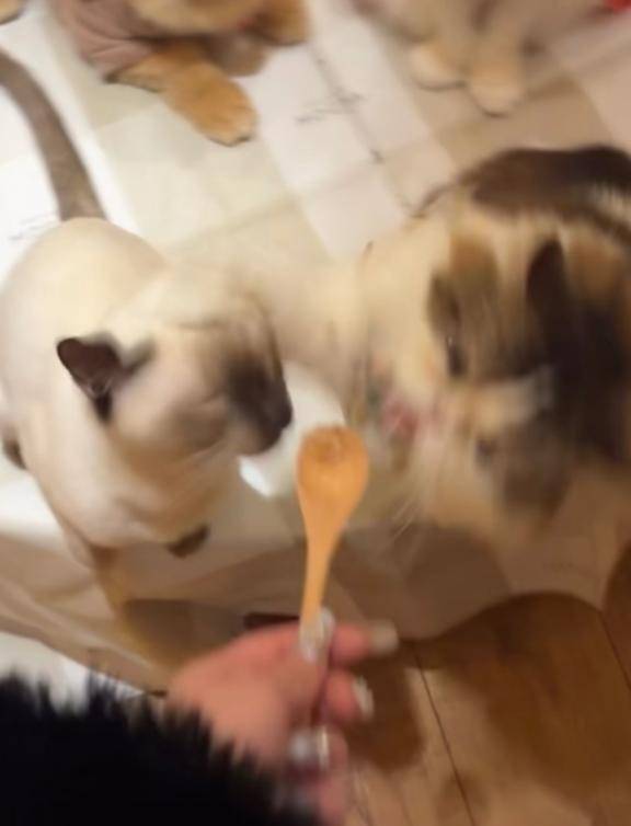 泣く(´；ω；｀)