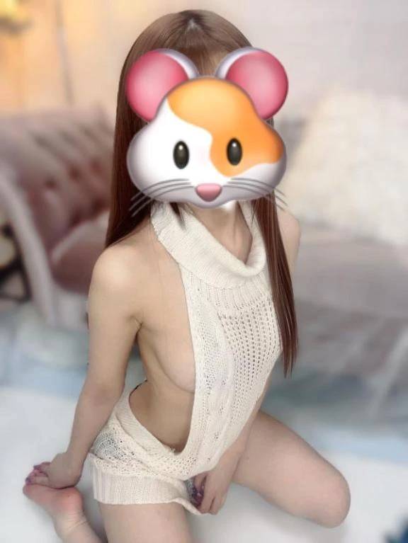マイブーム🐈