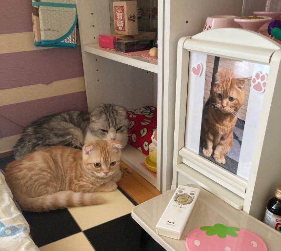 最近のあぃか情報🤗