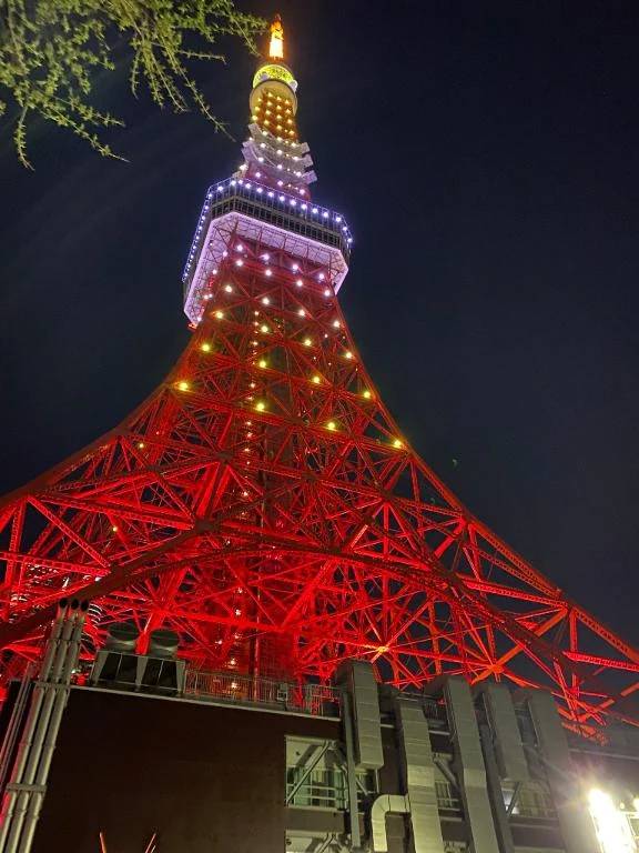 お休みです、ごめんなさい🥲