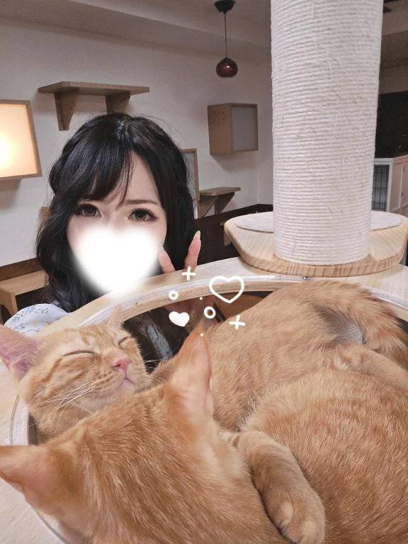 猫カフェ〜🐱