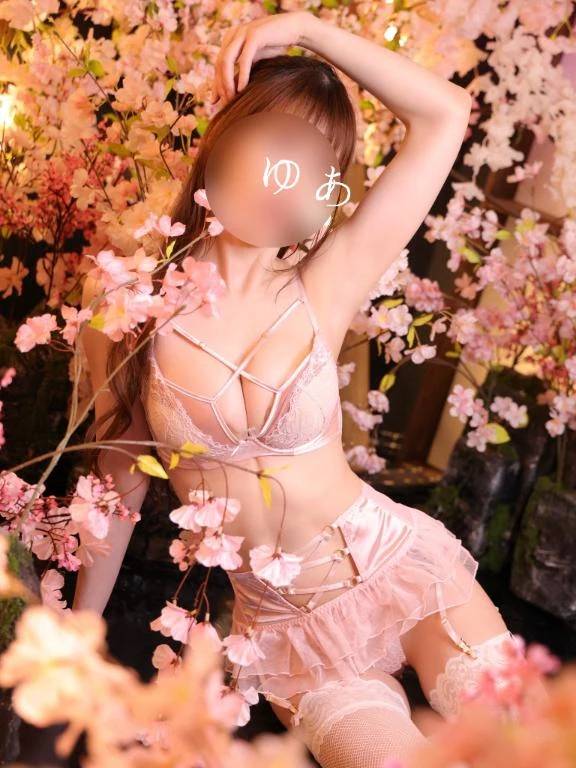 春らしいうららかな日々が続いております