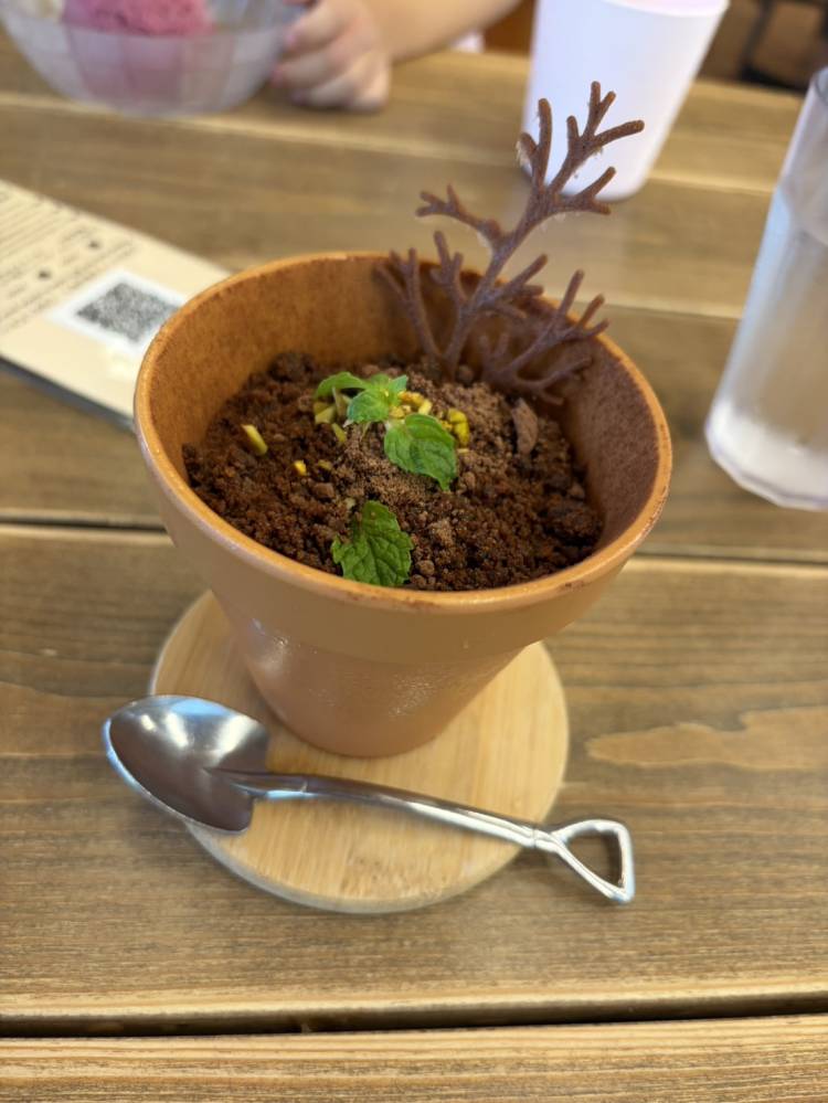 土と葉っぱを食べました？