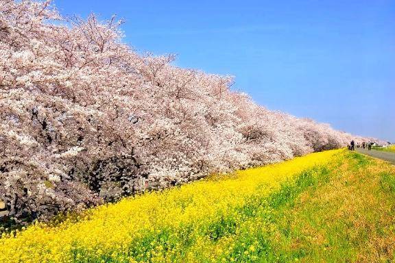 お久しぶりです