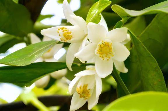 GW最終日