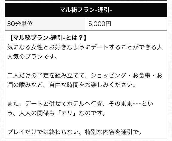 マル秘㊙️逢引きプラン//♡