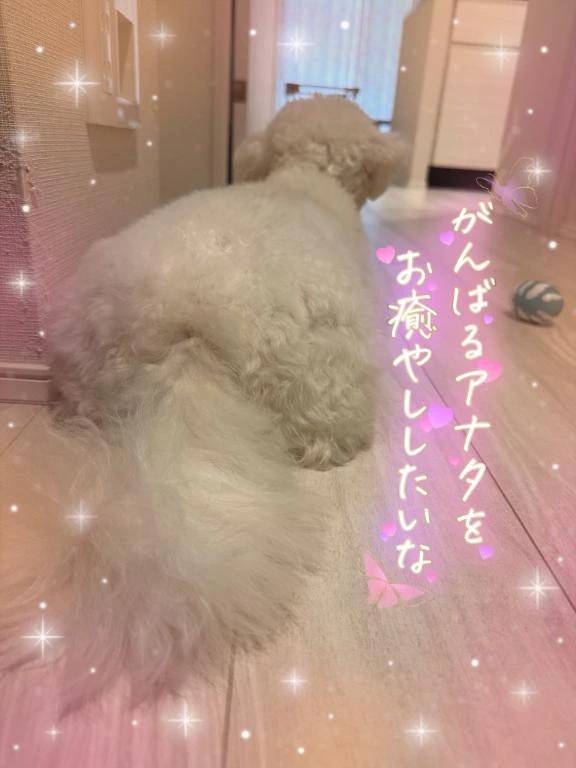 明日います//♡