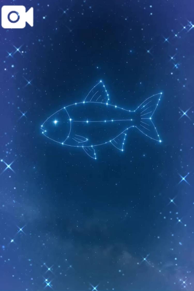 おやすみほ⑅︎◡̈︎*