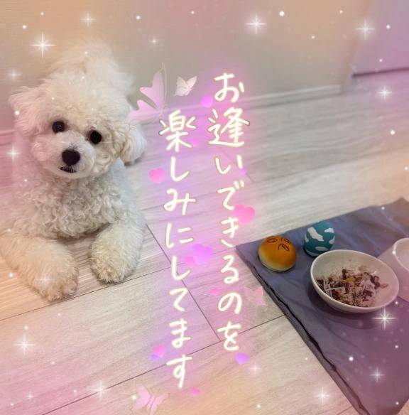 本日もご予約完売ありがとうございます🈵🈵