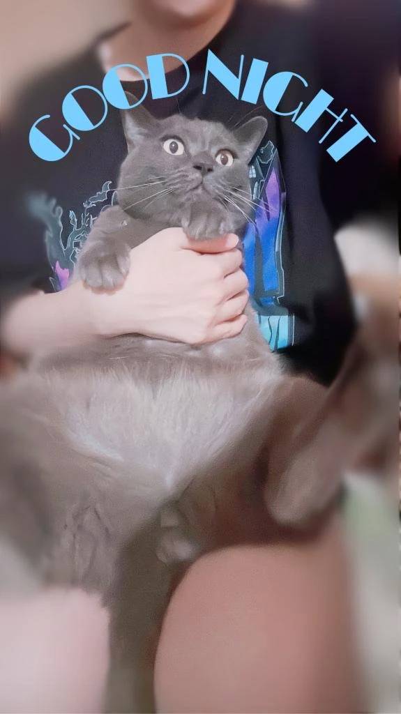名前を言ってはいけない虫