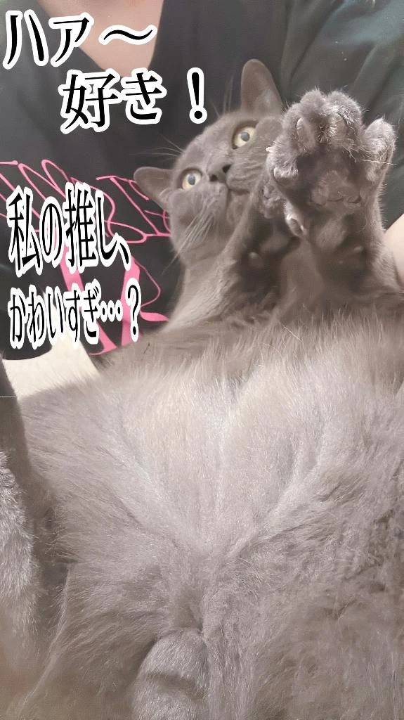 アイドルマスター