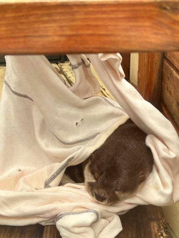 自慢のお尻です！