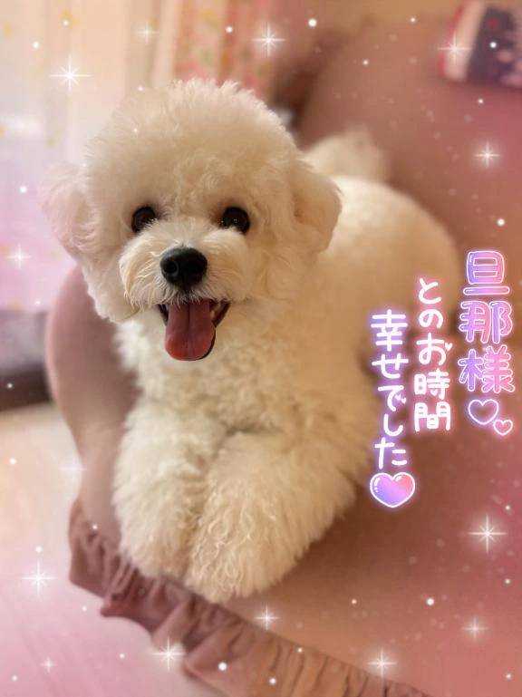 本日も素晴らしい出会いをありがとうございました♥️