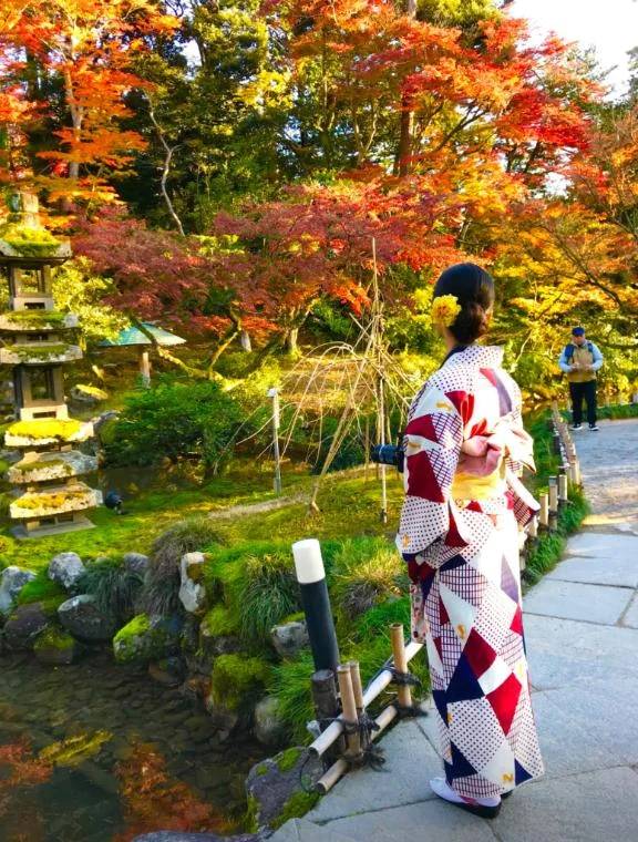 🍁