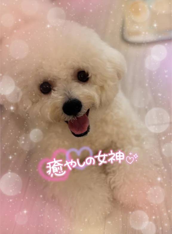 素敵な時間でした…♥️