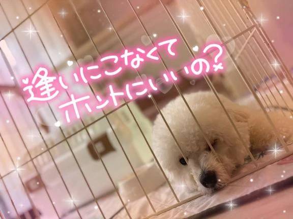 本日まだまだイケるよ…♥️