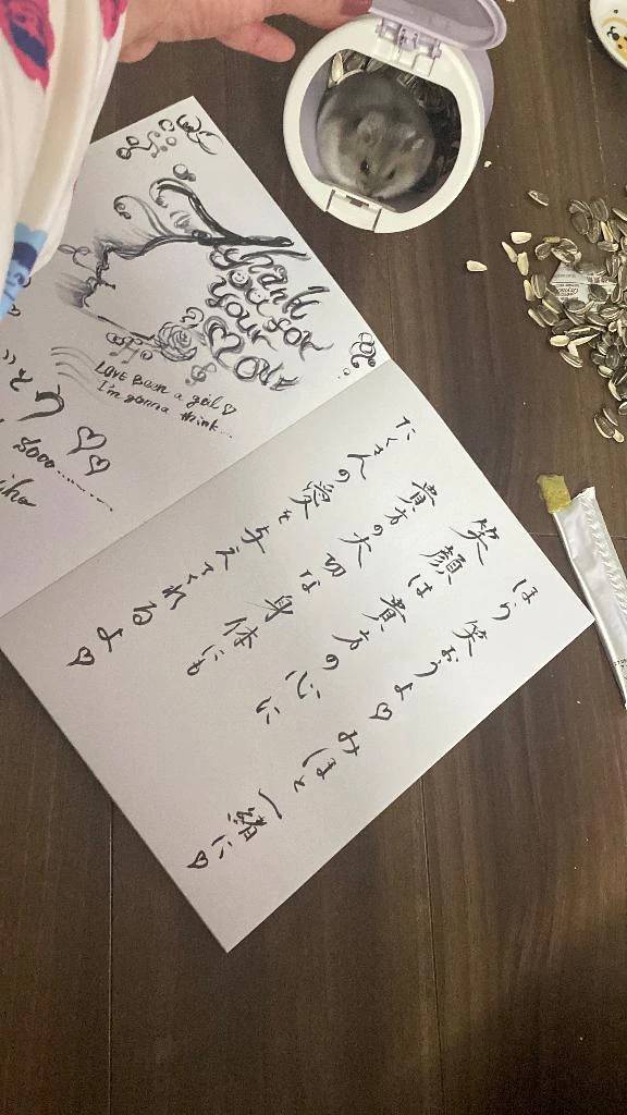 たまに描きたいの。。