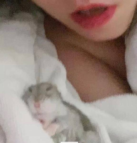 添い寝ハムスター🐹