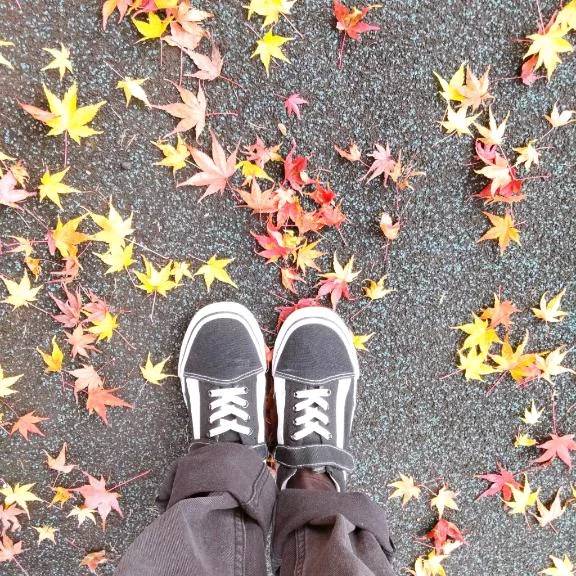 【後半】11月の𝕤𝕔𝕙𝕖𝕕𝕦𝕝𝕖 ‎𖤐 ̖́-‬