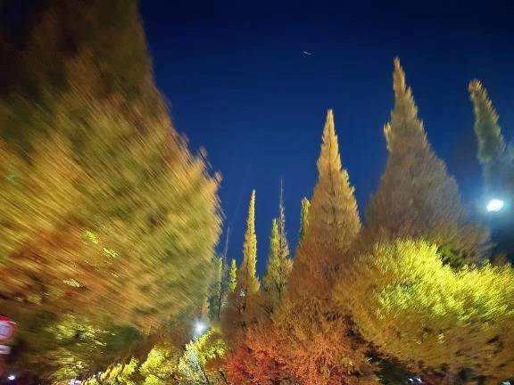 河合しょうこ(月の真珠-五反田-)