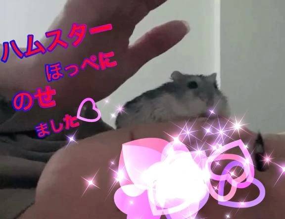 ⑅︎◡̈︎*末長く。。