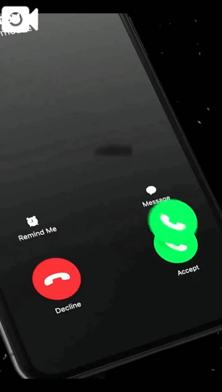 生存報告(⁠ㆁ⁠ω⁠ㆁ⁠)