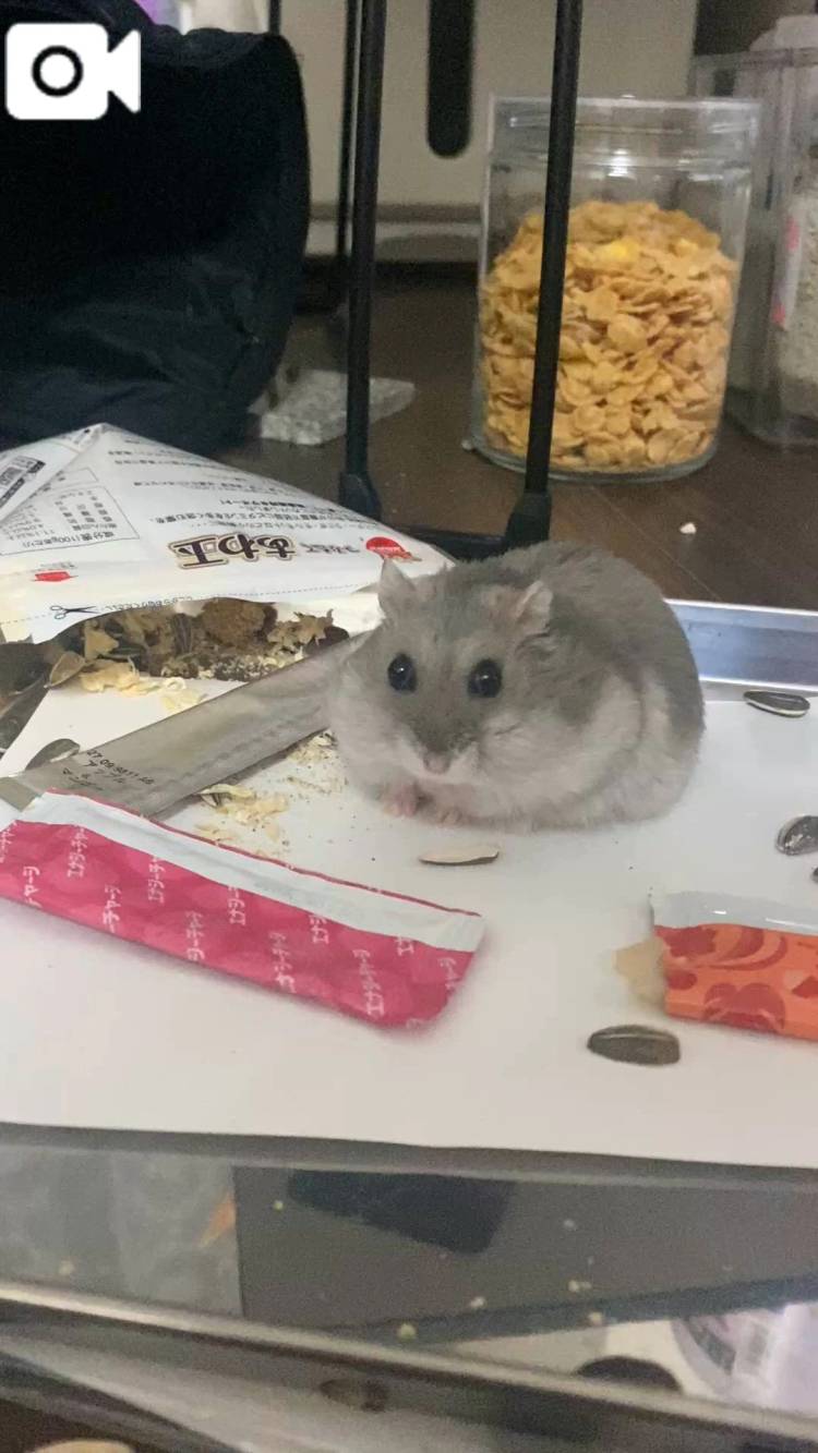 癒しのひとときをみんなにもお裾分けしたぃ❤️