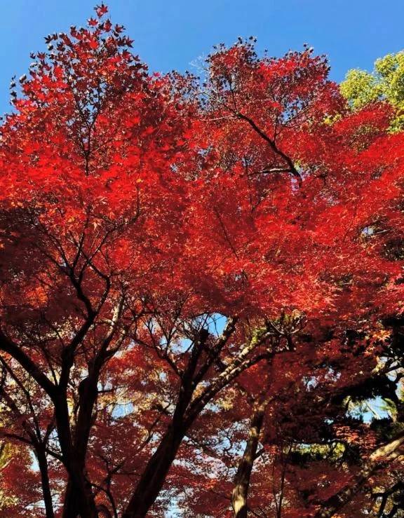 みなさんの"好きな景色"はどこですか？☺️