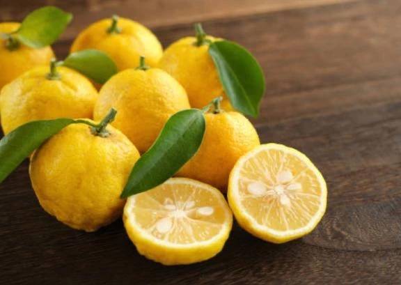 岸本いくみ（月の真珠-五反田-）