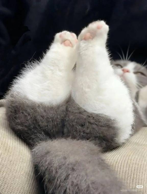 年末の𝕤𝕔𝕙𝕖𝕕𝕦𝕝𝕖🎄